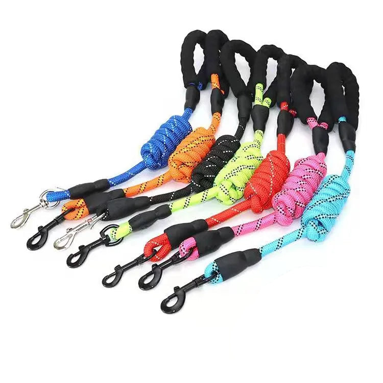 Colorful Pawlenza dog leashes with padded handles, arranged on white background.