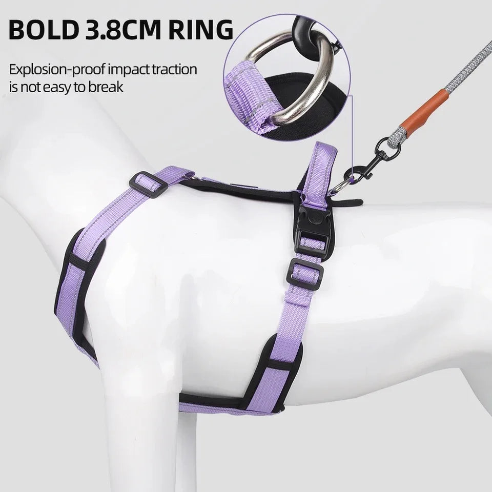 Purple dog harness with sturdy 3.8cm metal ring, attached leash, Pawlenza pet gear