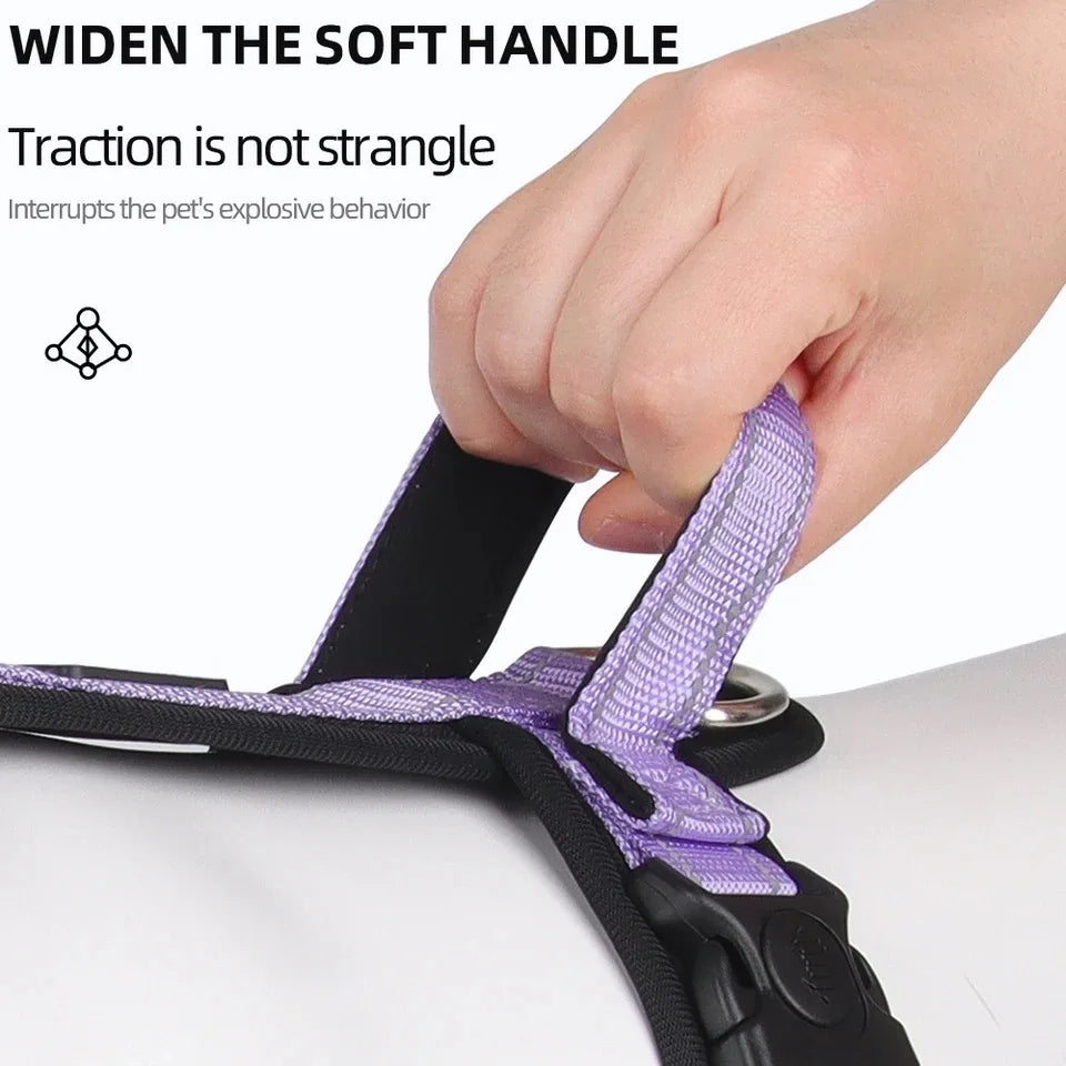 Hand holding purple soft handle pet harness from Pawlenza against white background