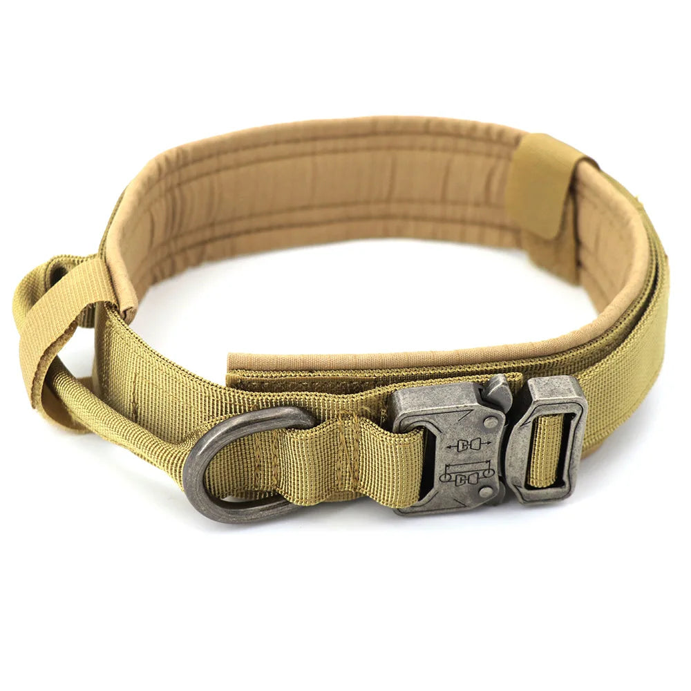 Adjustable Dog Collar with Control Handle