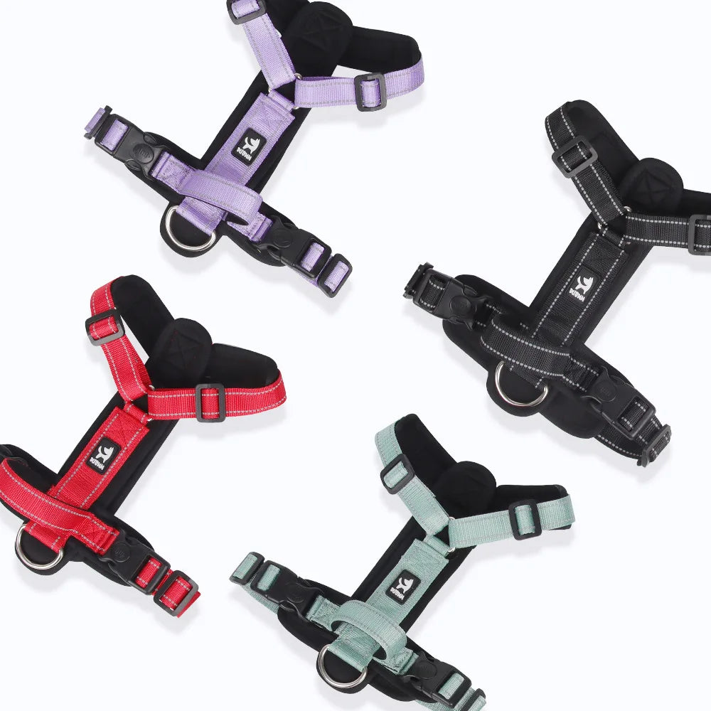 Colorful Pawlenza dog harnesses in red, purple, black, and green on white background
