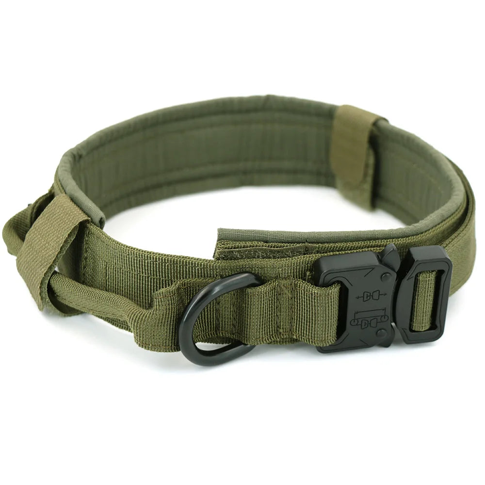 Adjustable Dog Collar with Control Handle