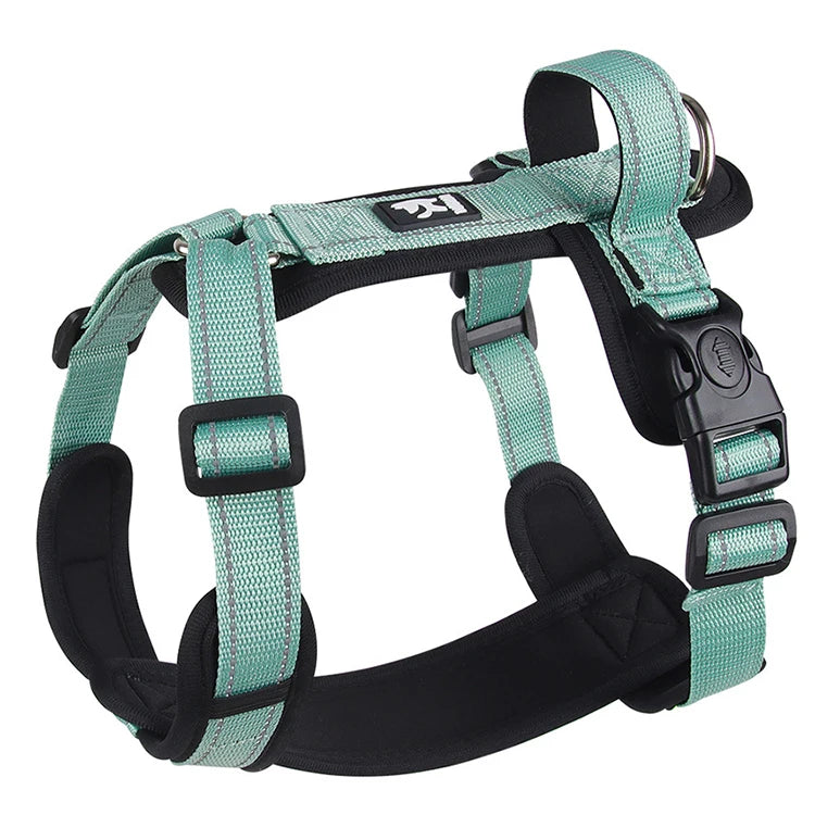 Adjustable teal dog harness with black buckles and handle, Pawlenza pet accessory