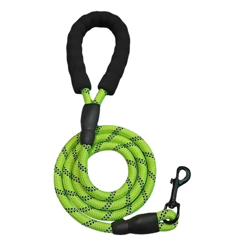 Green Pawlenza dog leash with padded handle and black clasp, coiled on white background