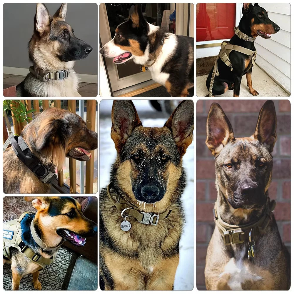 Adjustable Dog Collar with Control Handle